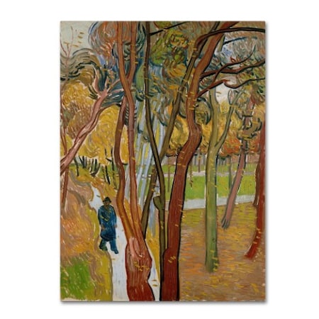 Van Gogh 'The Garden Of Saint Pauls Hospital' Canvas Art,18x24